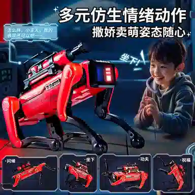 XUEZHISHAN TOYS