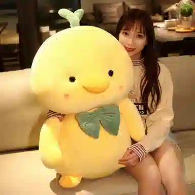 ZOCO 22cm35cm50cm
