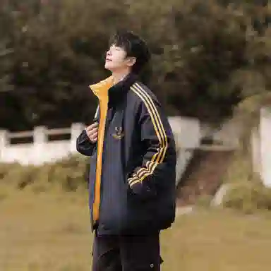 UPZCY