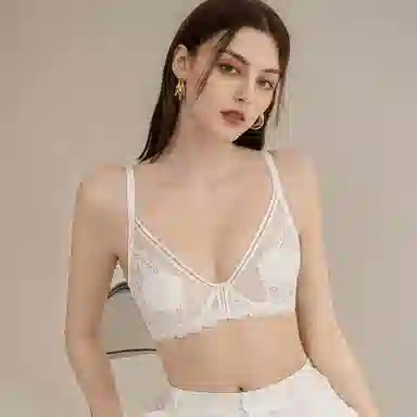 莫代尔 美背蕾丝透气无痕软支撑内衣收副乳大胸显小聚拢薄款软支撑防下垂性胸罩文胸 女款