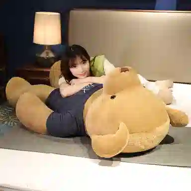 80cm100cm120cm140cm160cm