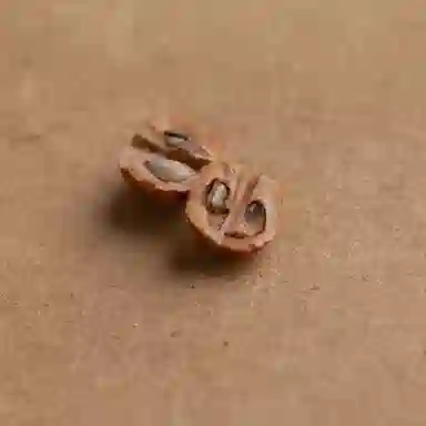 阿七 老型珠复古民族风佛珠文玩转运珠盘玩绕指柔珠串财源广进新中式国风手持好物饰品#好运 猴头核桃 手串 男女同款情侣款