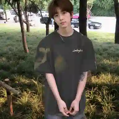 Automobili Lamborghini T