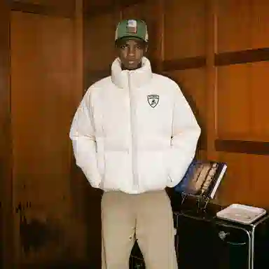 Automobili Lamborghini logo