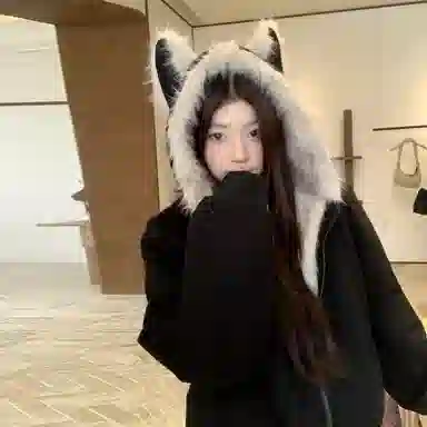 Automobili Lamborghini