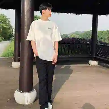 Automobili Lamborghini T