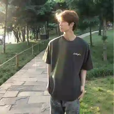 Automobili Lamborghini T