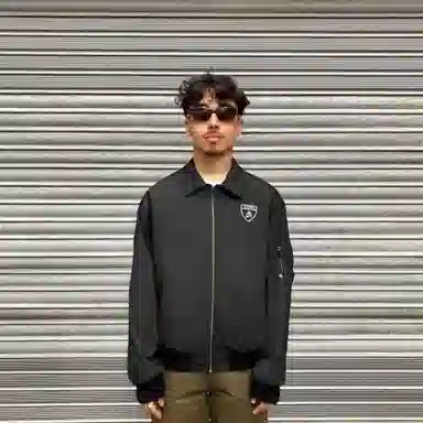 Automobili Lamborghini logo