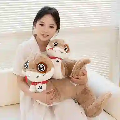 20cm30cm40cm