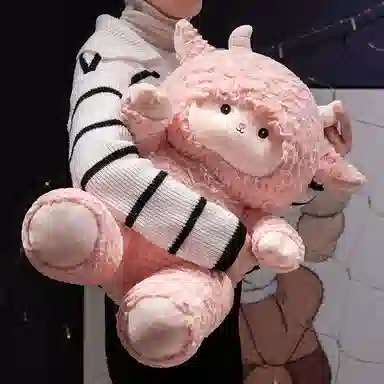 50cm60cm