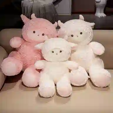 50cm60cm