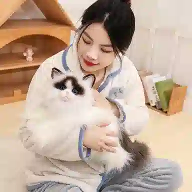 50cm