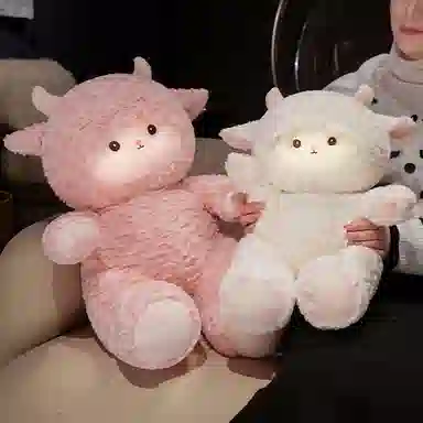50cm60cm