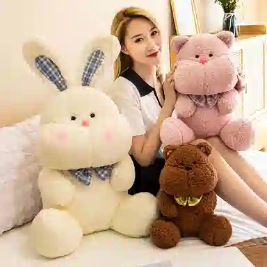 23cm