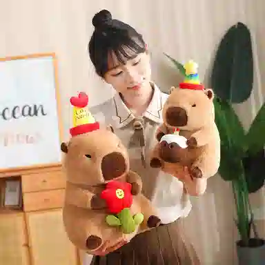 30cm40cm