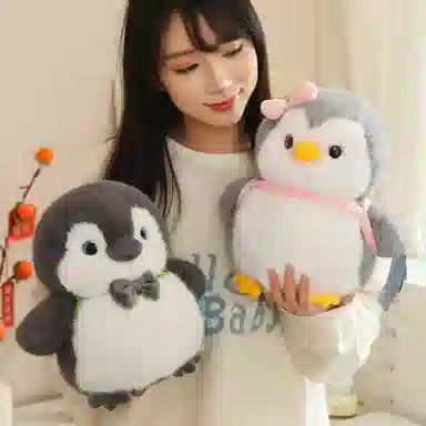 25cm35cm