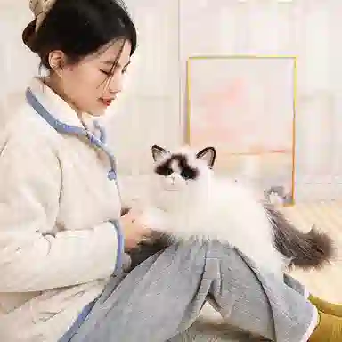 50cm