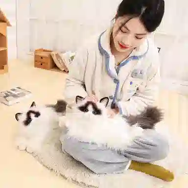 50cm