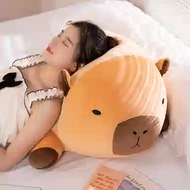 40cm50cm60cm80cm