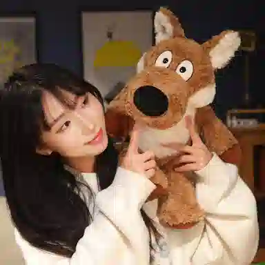 50cm