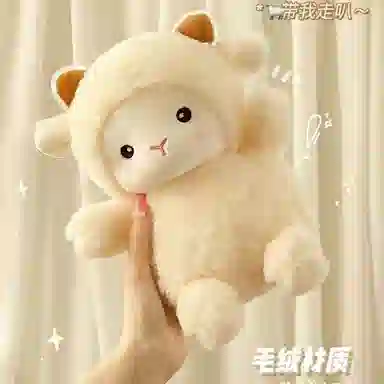 25cm