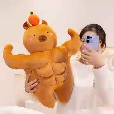 36cm58cm