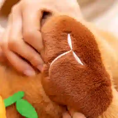 33cm