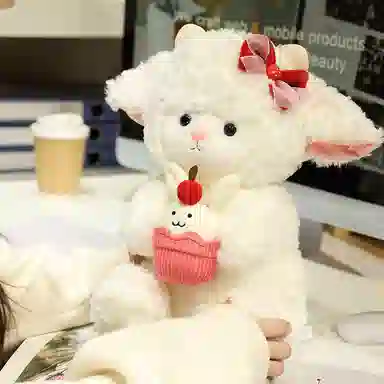 25cm35cm50cm