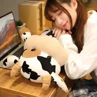 30cm40cm50cm65cm