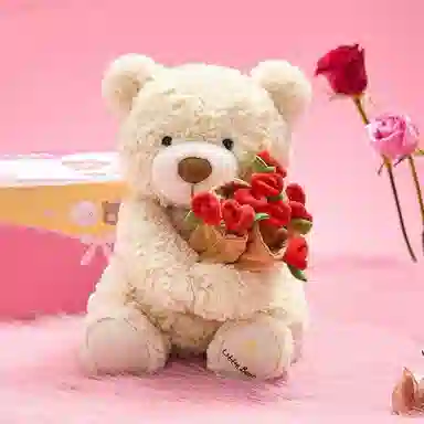 30cm40cm