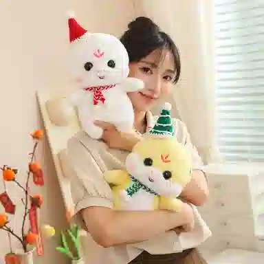 30cm