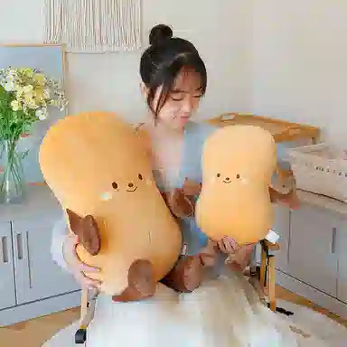 45cm65cm