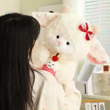 25cm35cm50cm