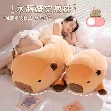 40cm50cm60cm80cm