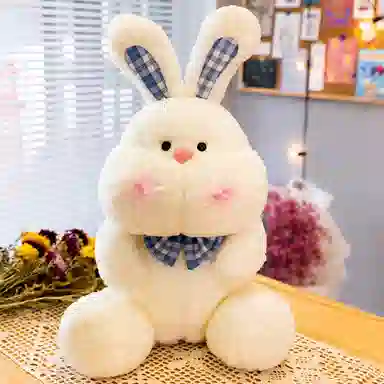23cm