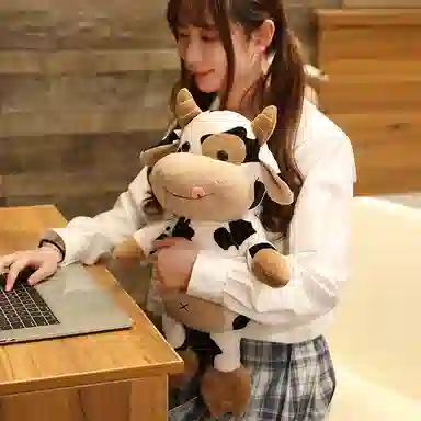 30cm40cm50cm65cm