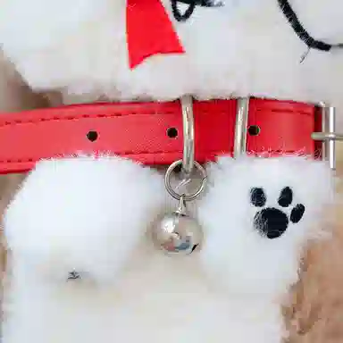 20cm30cm40cm