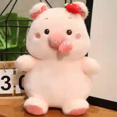30cm