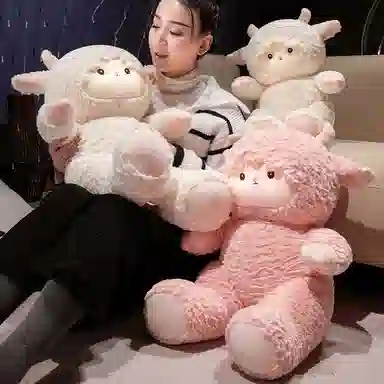 50cm60cm