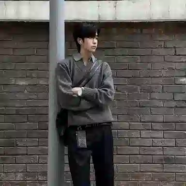 YICHEN Vpolocleanfit