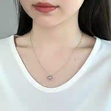 ins S925