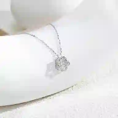 ins S925