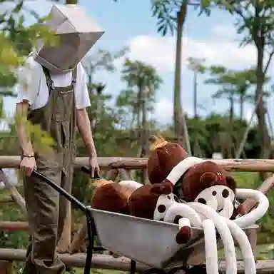 logaloga