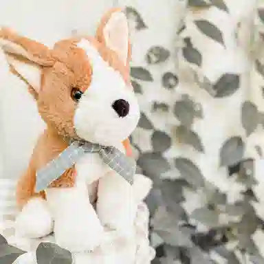 MONAMI 30cm