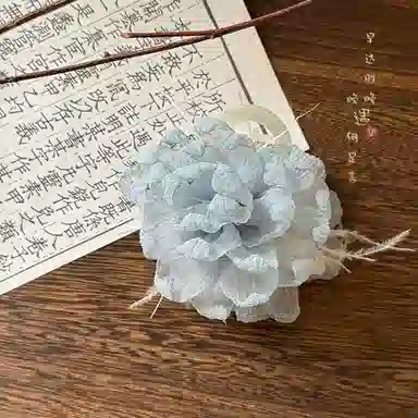 蒙妮 氛围感网纱花朵羽毛 亚克力 发夹 女款