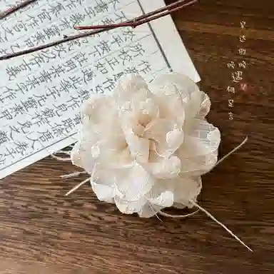 蒙妮 氛围感网纱花朵羽毛 亚克力 发夹 女款