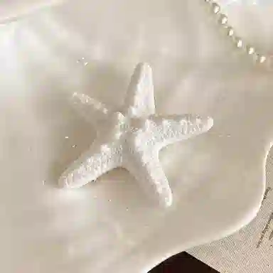 蒙妮 甜美仿真海星小清新鸭嘴夹 亚克力/合金 发夹 女款