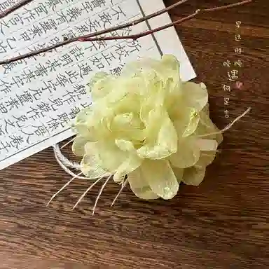 蒙妮 氛围感网纱花朵羽毛 亚克力 发夹 女款