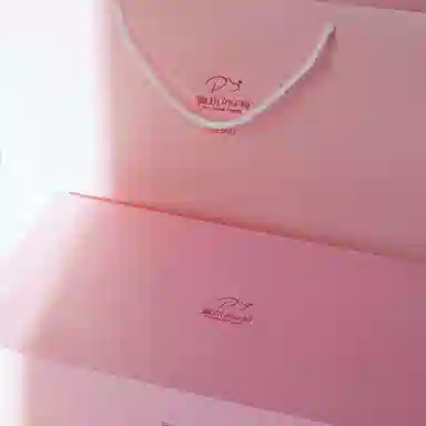 PARANOID PUPPY vintage chocker 925