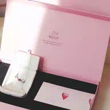 PARANOID PUPPY vintage chocker 925